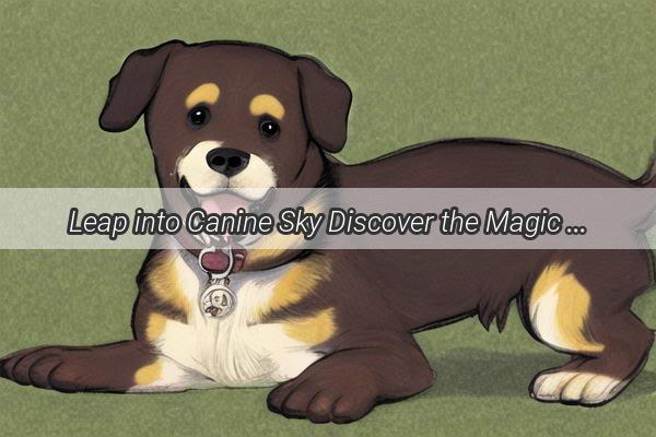 Leap into Canine Sky Discover the Magic of Flying Dogs